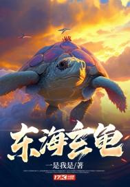东海乌龟