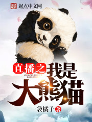 我是大熊猫小说