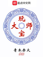 玩宝大师小说