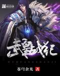 武战道战龙皇高端版