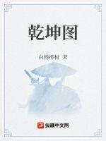 乾坤图像数字公司