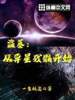 盗墓：从异星残骸开始