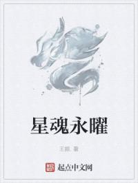 星魂永曜