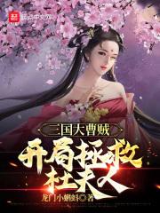 三国大曹贼开局拯救杜夫人笔趣阁