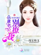 宠妻狂魔总裁老公别撩我