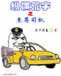 纵横宇内