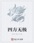 四方无极德国