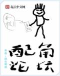 《配角》小说