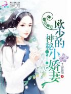 一婚二宝帝少宠妻无节制完整版