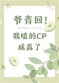 我嗑的cp成真了txt